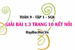 Bài 1.3 trang 10 Toán 9 tập 1 Kết nối tri thức SGK